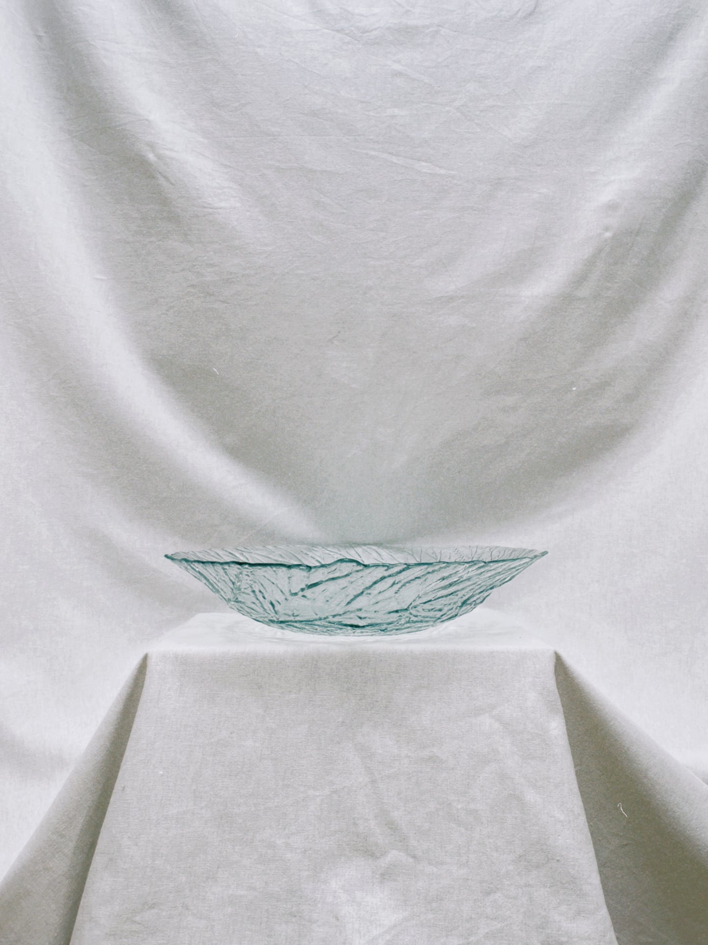 no. 36 - le plat corail