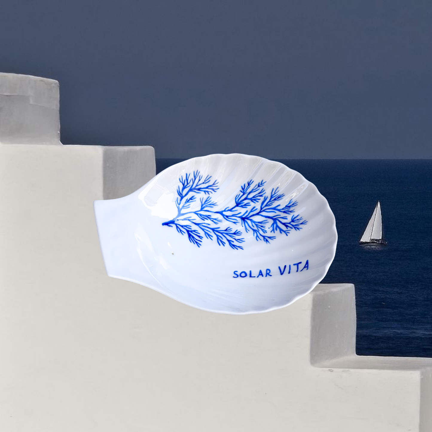 le coquillage en porcelaine - DULCE