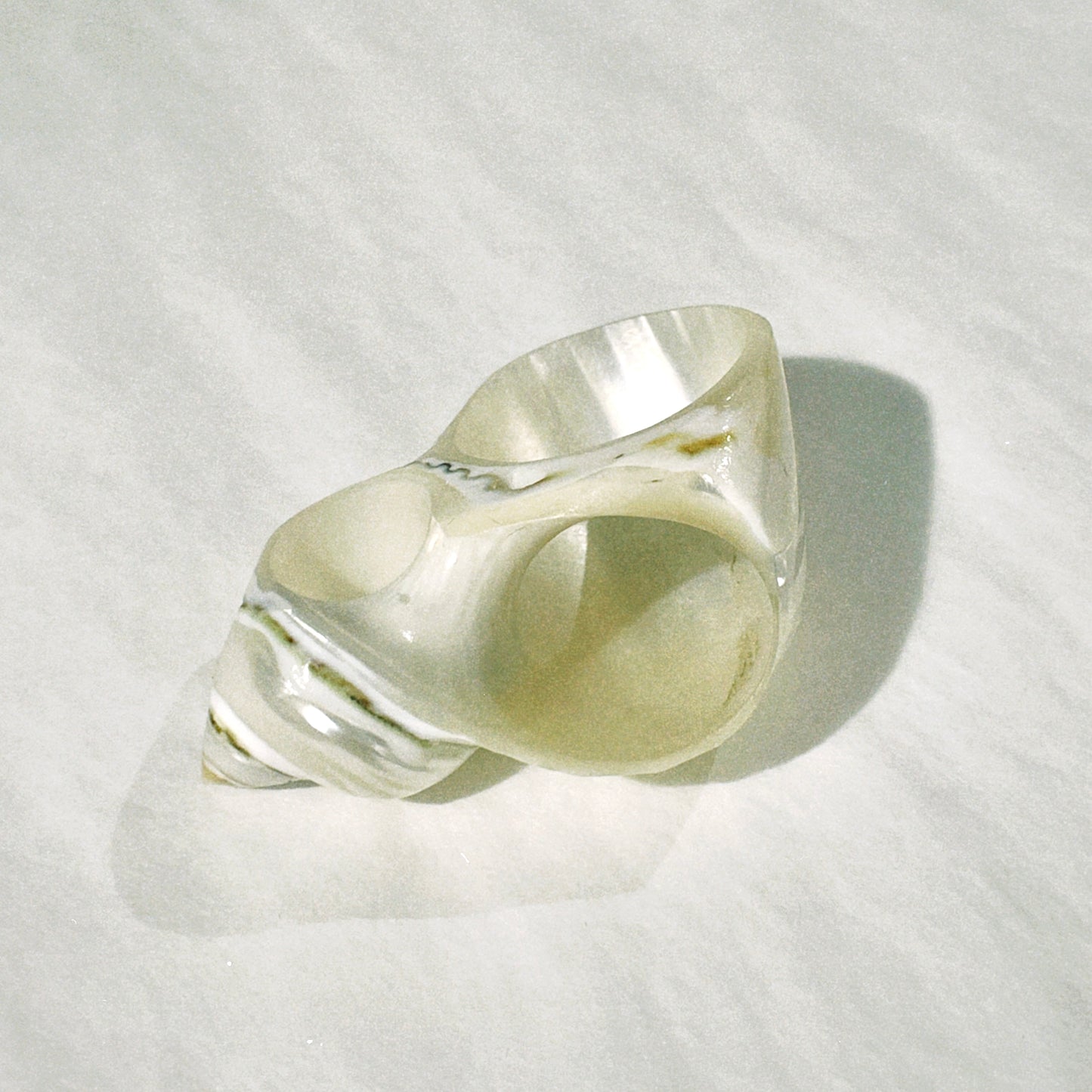 no. 11 - le coquillage