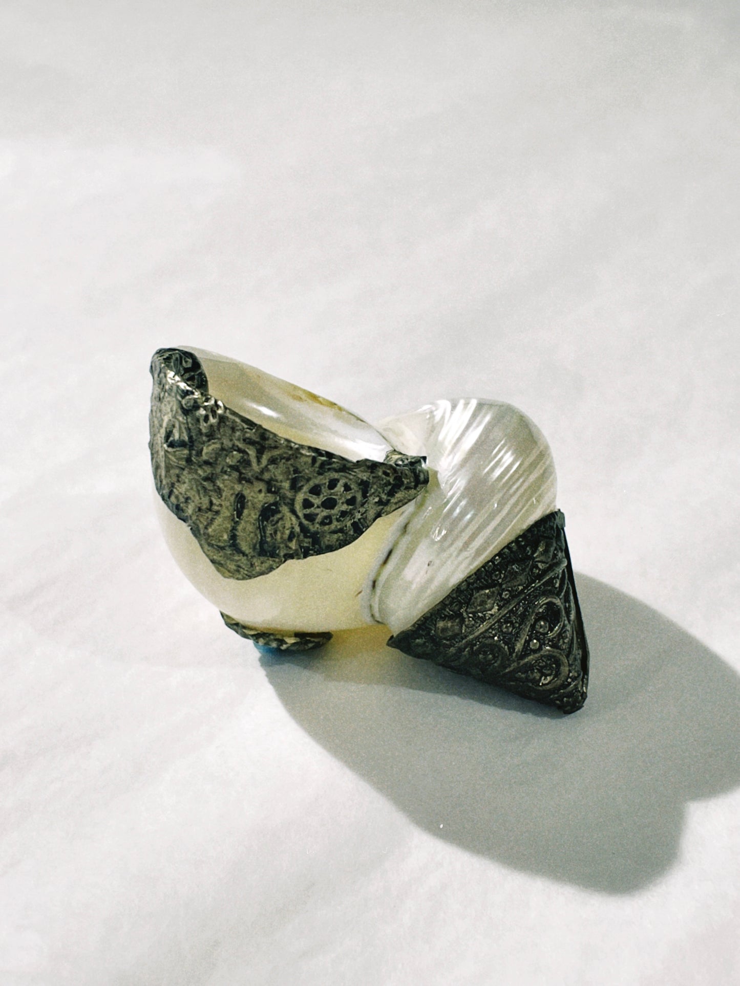 no. 35 - le coquillage collection