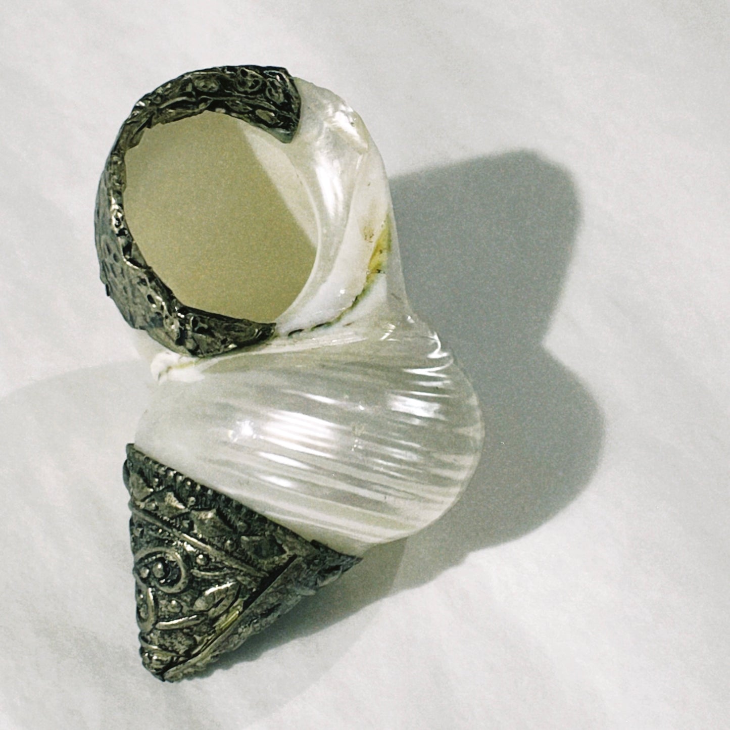 no. 35 - le coquillage collection