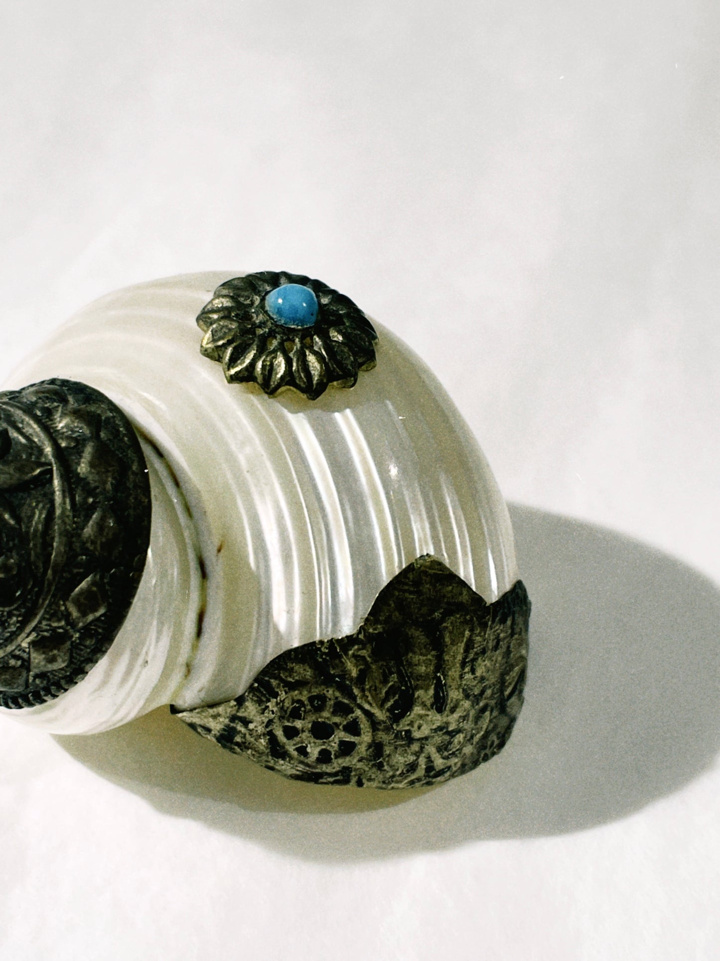 no. 35 - le coquillage collection