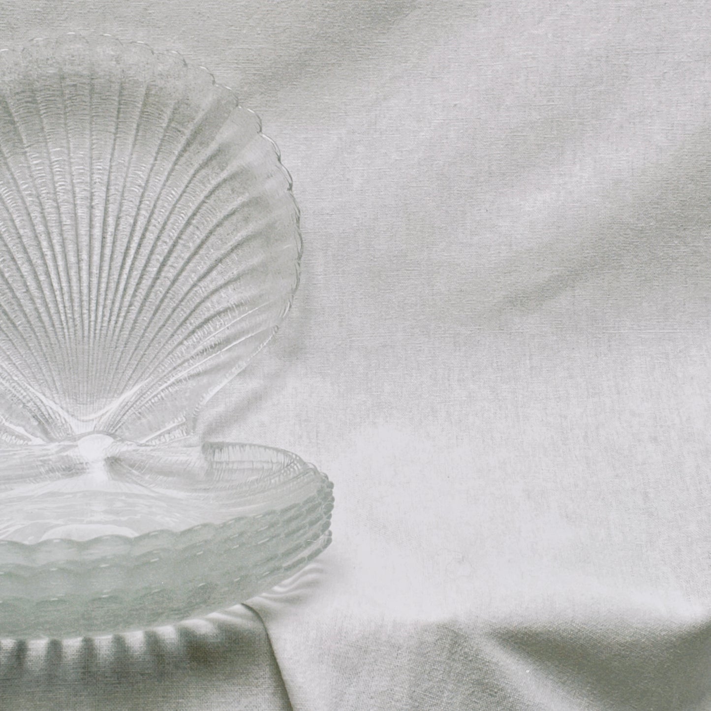 no. 34 - les assiettes coquillage
