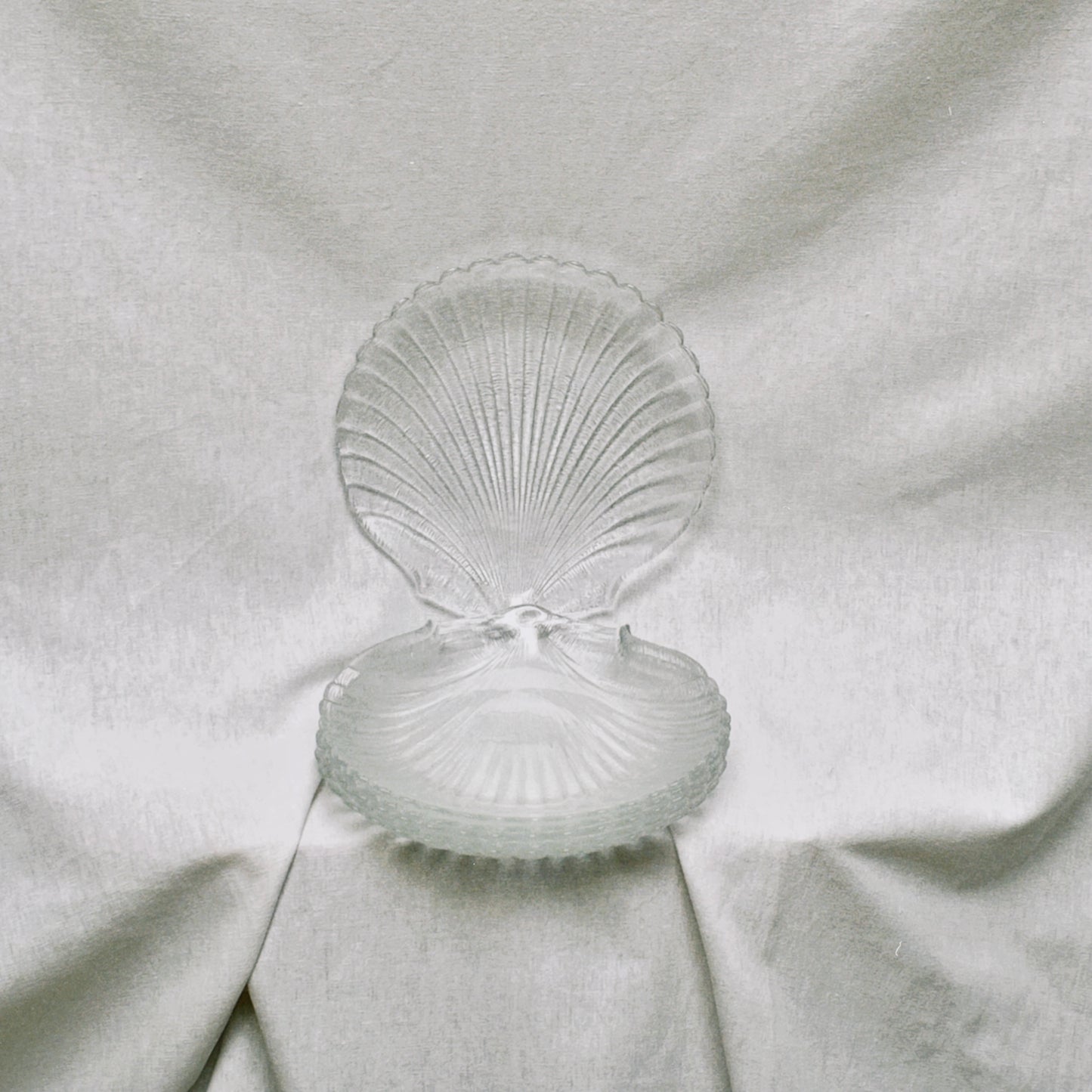 no. 34 - les assiettes coquillage