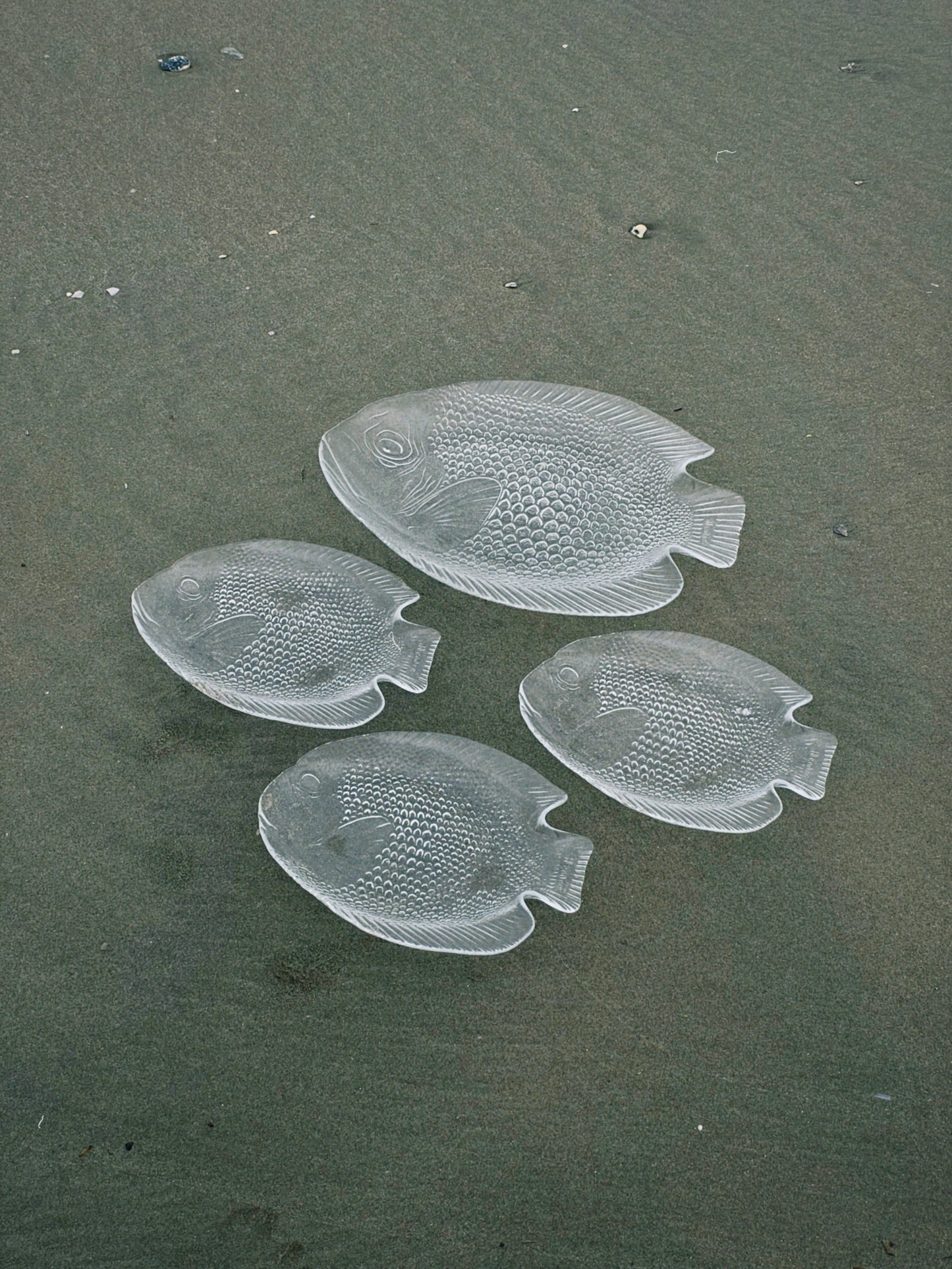no. 176 - les assiettes poissons