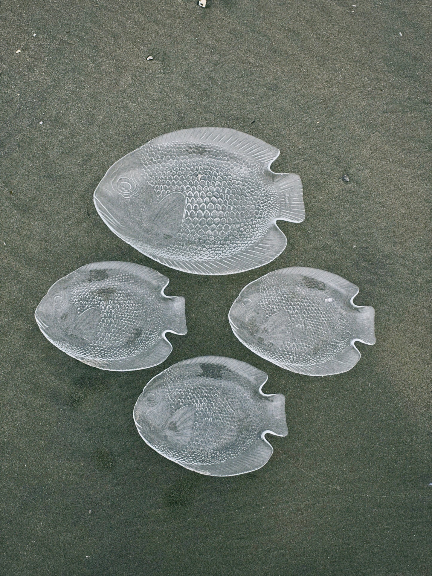 no. 176 - les assiettes poissons