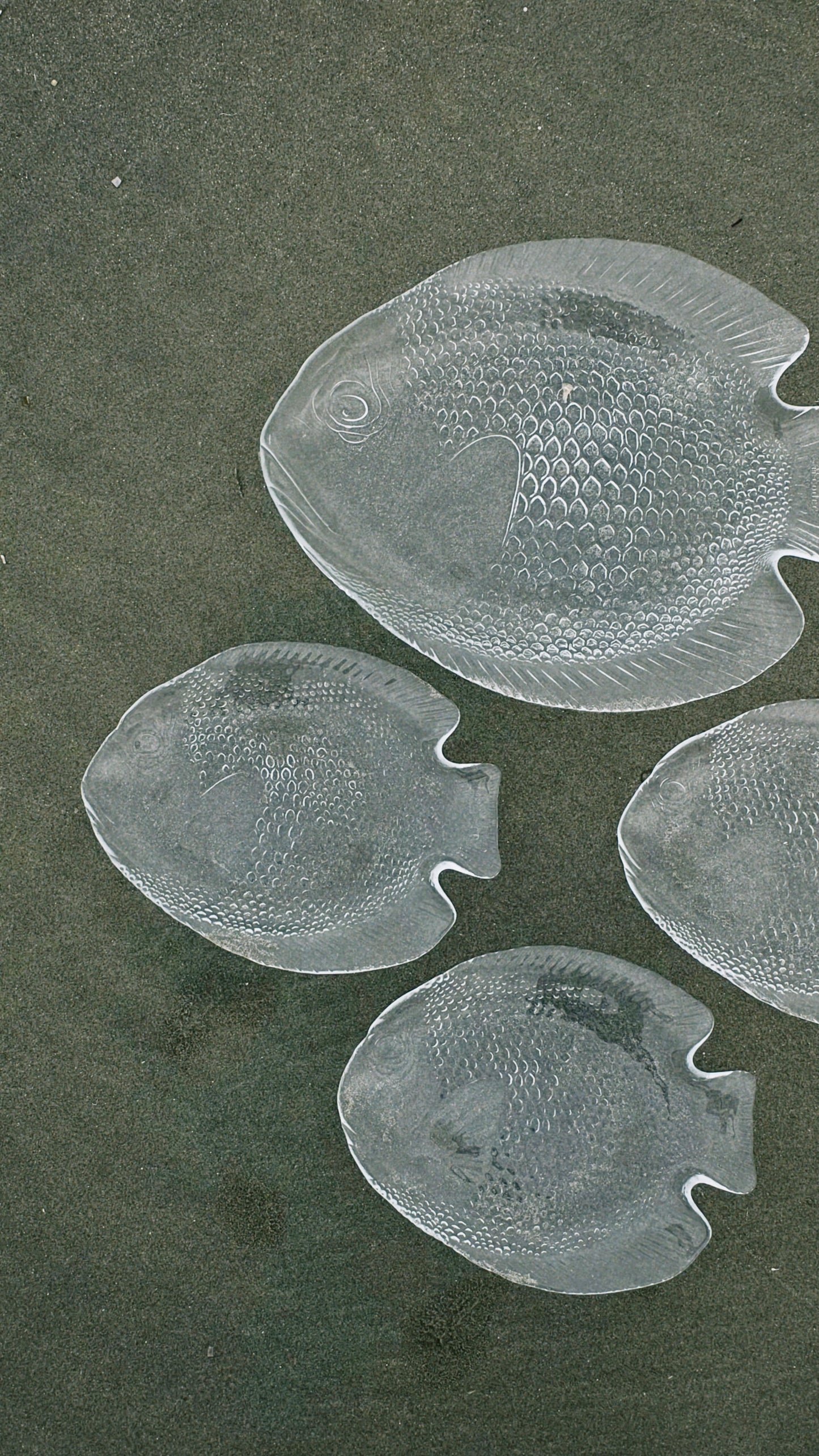 no. 176 - les assiettes poissons