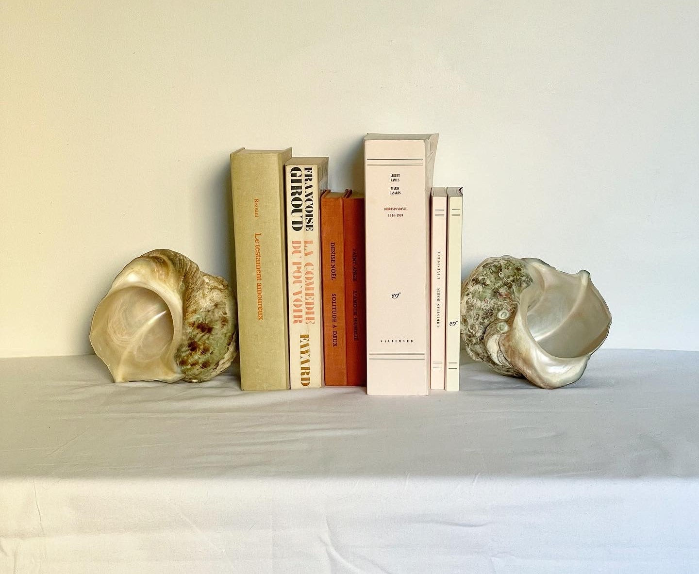 no. 31 - serre-livres coquillages