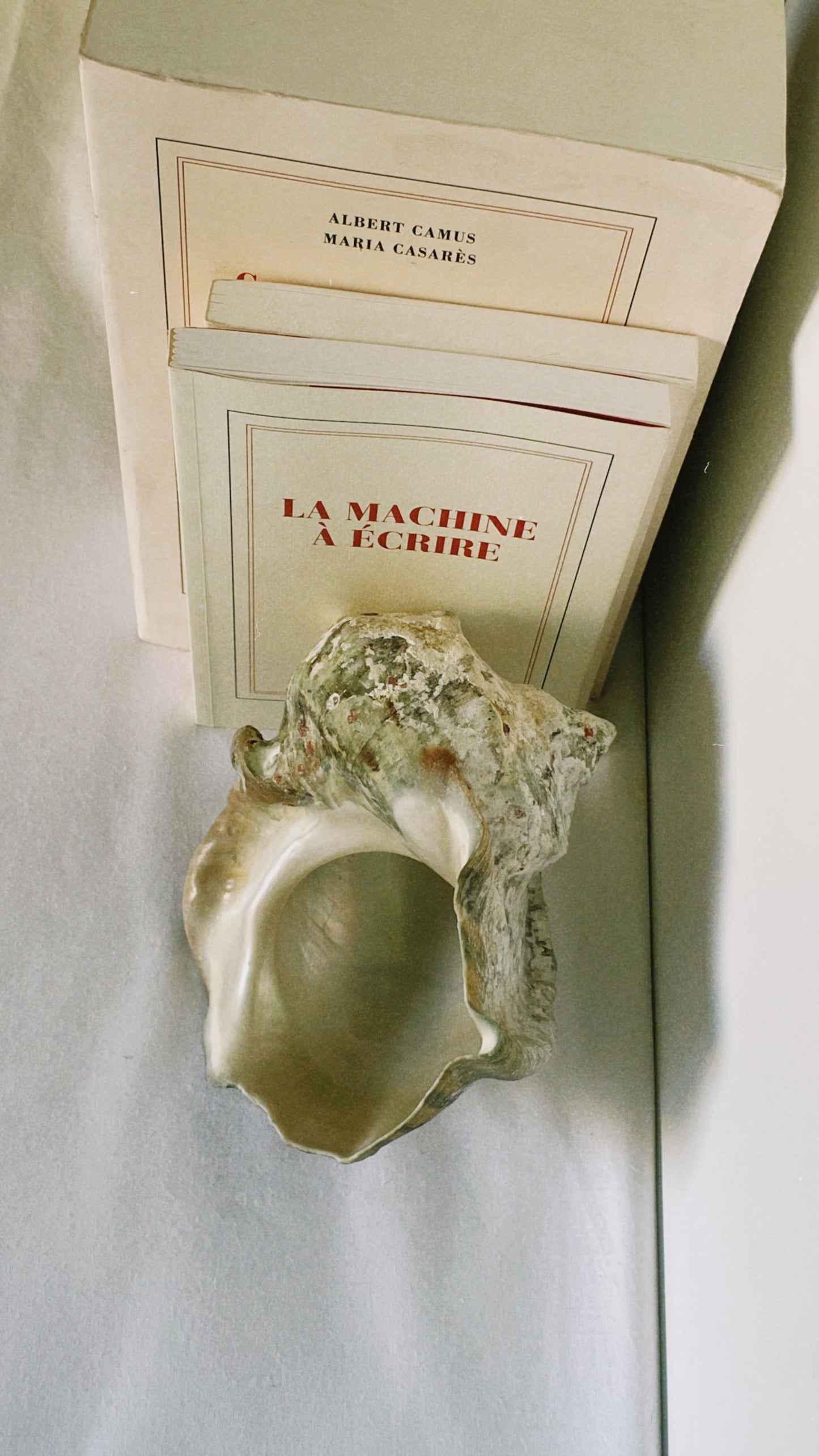 no. 31 - serre-livres coquillages