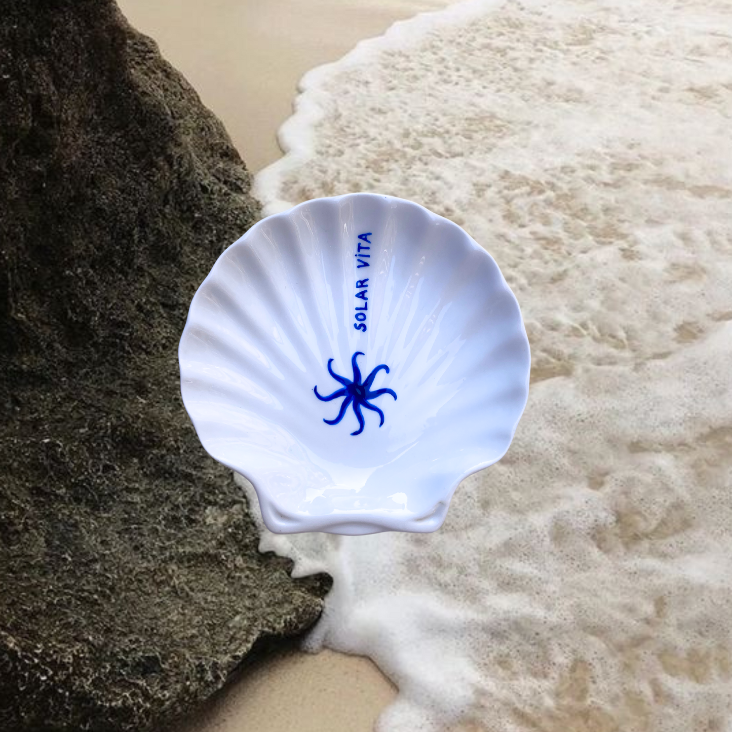 la coupelle coquillage - ISABELLA