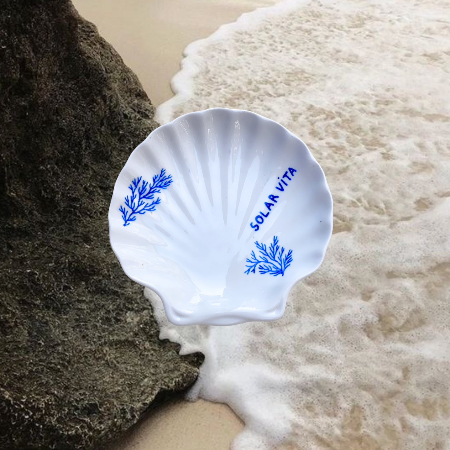 la coupelle coquillage - ISABELLA