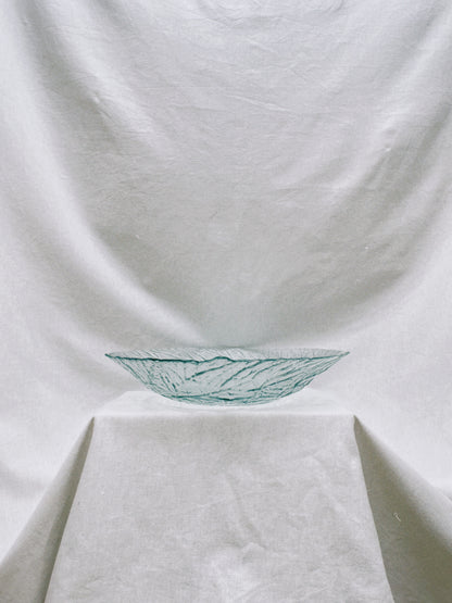 no. 36 - le plat corail