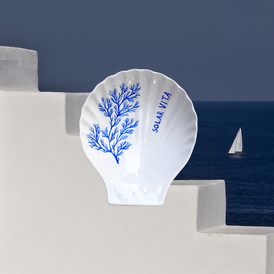 le coquillage en porcelaine - DULCE