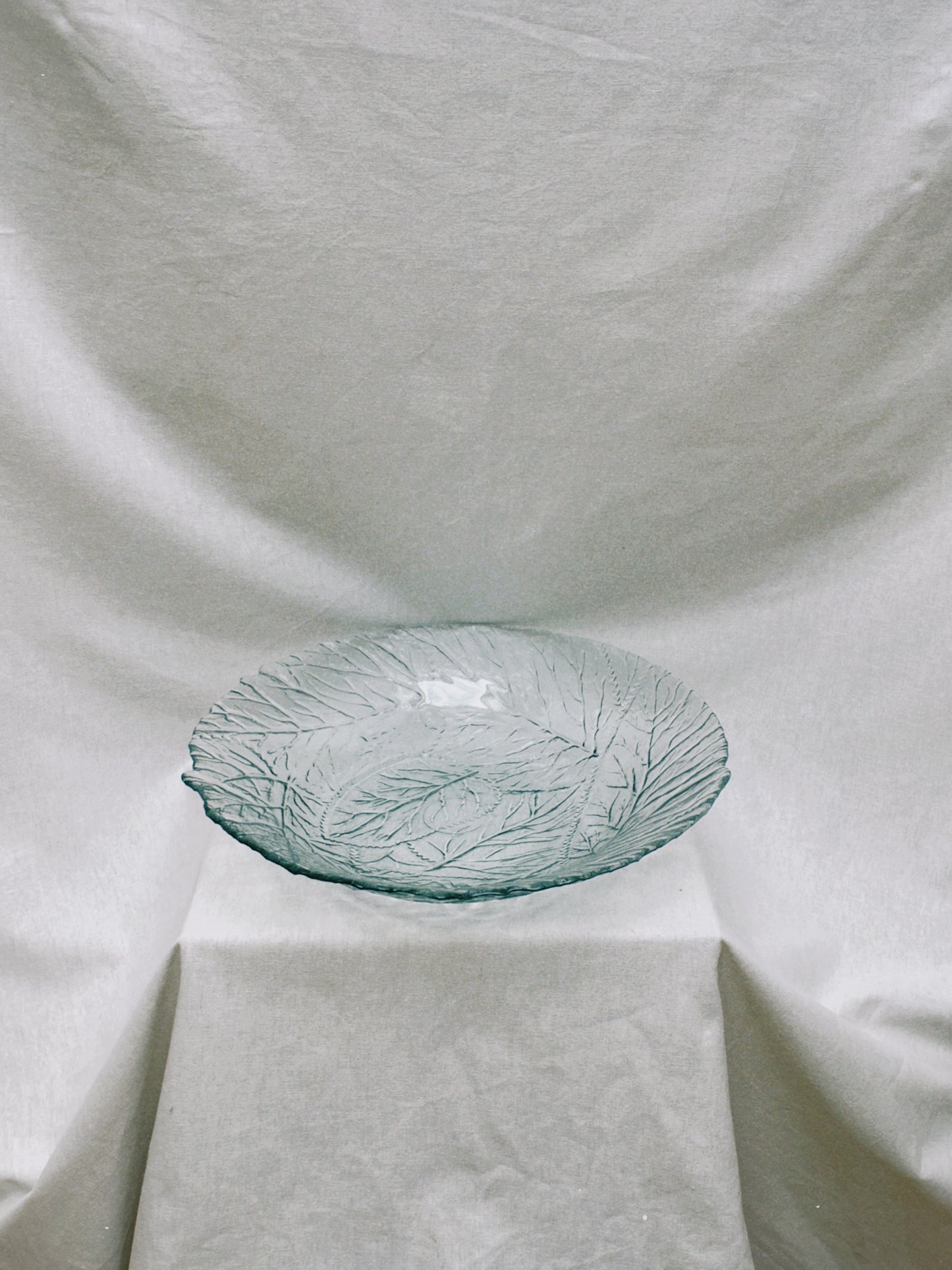no. 36 - le plat corail