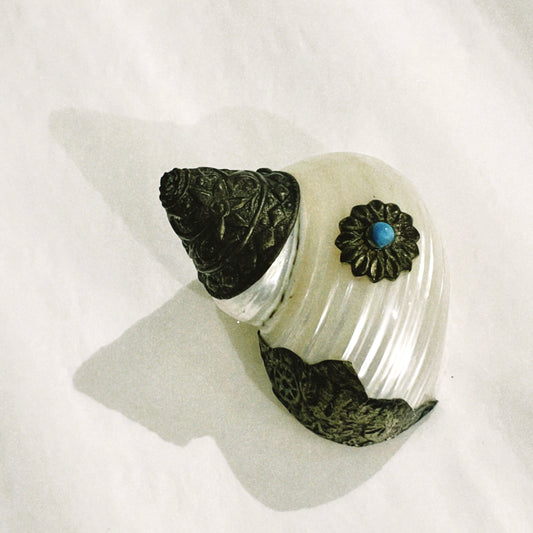 no. 35 - le coquillage collection