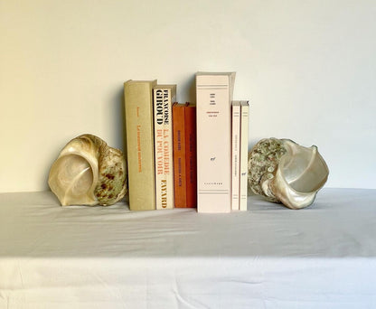no. 31 - serre-livres coquillages