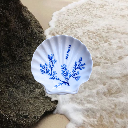 la coupelle coquillage - ISABELLA