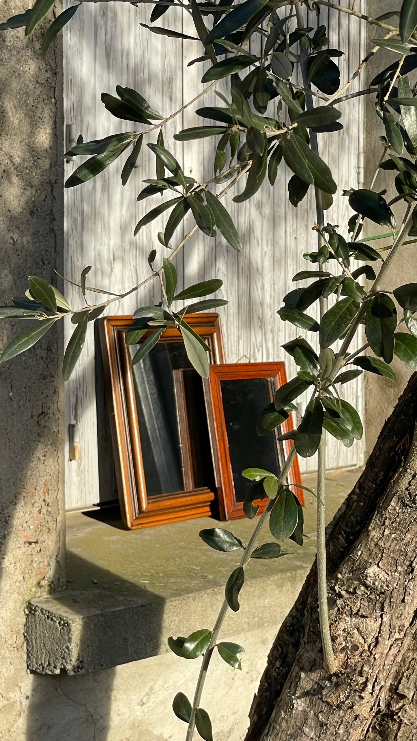 no. 43 - le miroir en bois