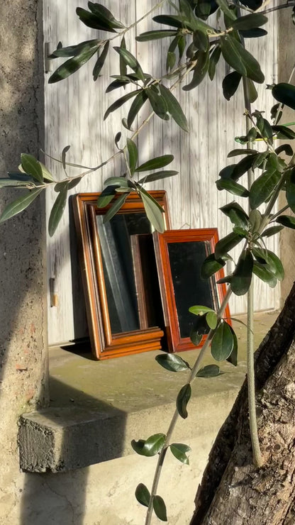 no. 117 - le miroir antique